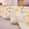 【品牌直发】加倍生活  棋盘格羊羔绒毛毯 牛奶绒羊羔绒复合加厚盖毯 网红爆款 商品缩略图2