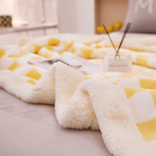 【品牌直发】加倍生活  棋盘格羊羔绒毛毯 牛奶绒羊羔绒复合加厚盖毯 网红爆款 商品图2