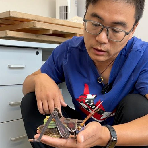 密云东邵渠镇小岭村开发文创立体纸模型自己动手拼接铁皮蝈蝈  会叫的铁皮蝈蝈 商品图5