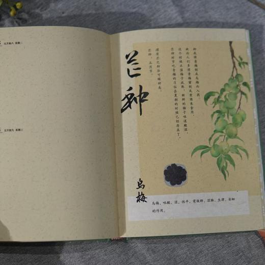 2025元气养生日记本 | 赠2枚书签 藏于书页的岐黄之术 商品图4