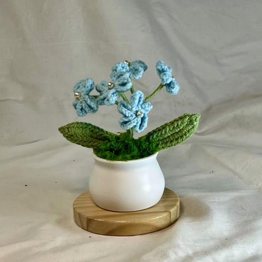 手工钩织 蓝色小花盆栽 商品图0
