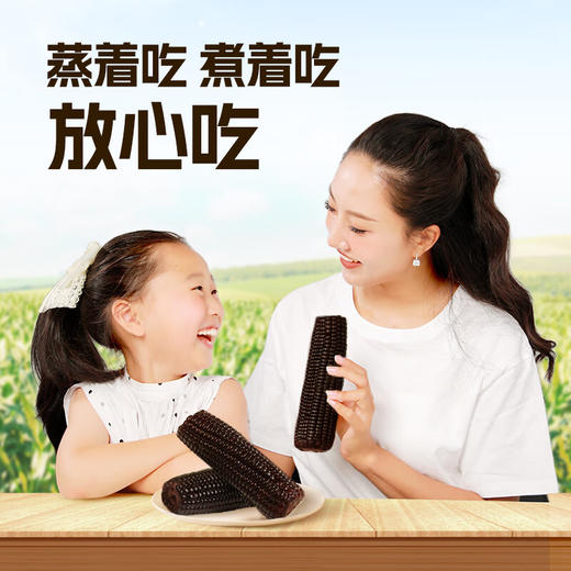 失重密码  黑糯玉米棒220g*8根装 商品图3