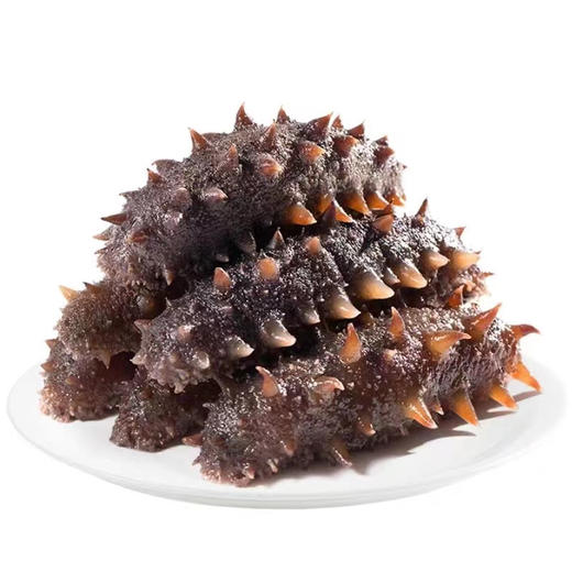 海参 500g（8条装） 商品图4