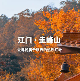 【11.23 | 宝藏小城】打卡《狂飙》拍摄地，逛绝美森林公园~