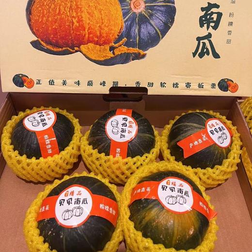 贝贝小南瓜（优质种源） /盒 商品图0