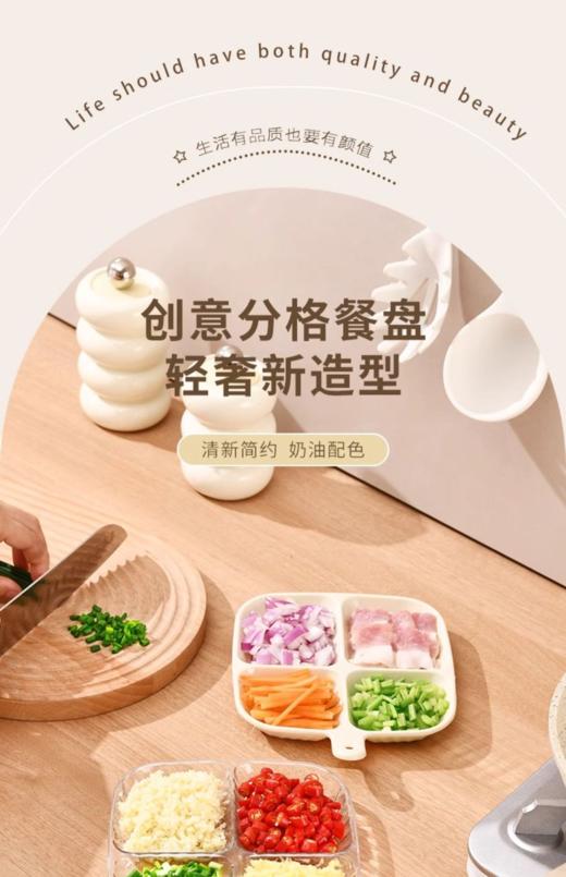 分隔餐盘 商品图2