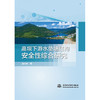 高坝下游水垫塘结构安全性综合研究 商品缩略图0