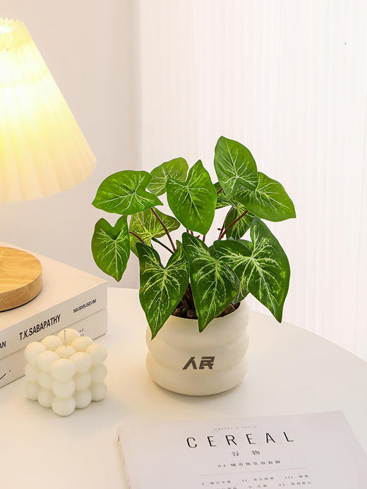 人民仿真植物桌面盆景绿植盆栽室内办公室工位装饰仿真花假花摆件 商品图0