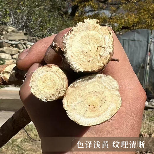 【西藏野生黄芪】西藏林芝地区野生黄芪250g 商品图2