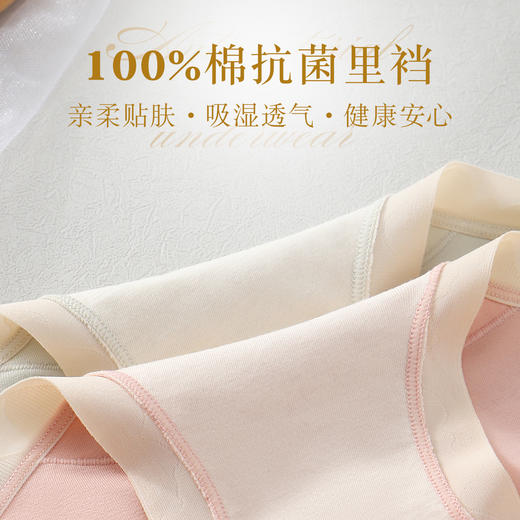 【3条装】女士60支长绒棉内裤三角内裤底裤中腰平腰裤子内裤【CSL24265】 商品图3