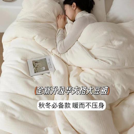 【A类标准 华夫格抑菌高档大豆蛋白被】升级款 含51%大豆纤维春秋冬季被子 高织高密面料被  柔软舒适 不跑棉 抗静电 商品图0
