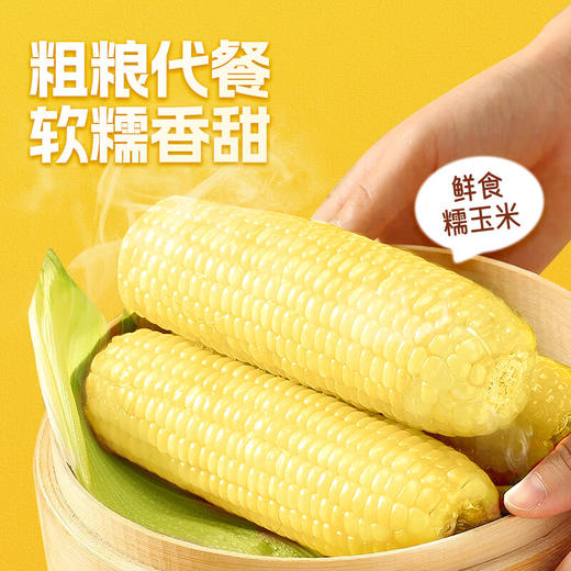 失重密码  花糯玉米棒220g*6根装 商品图1