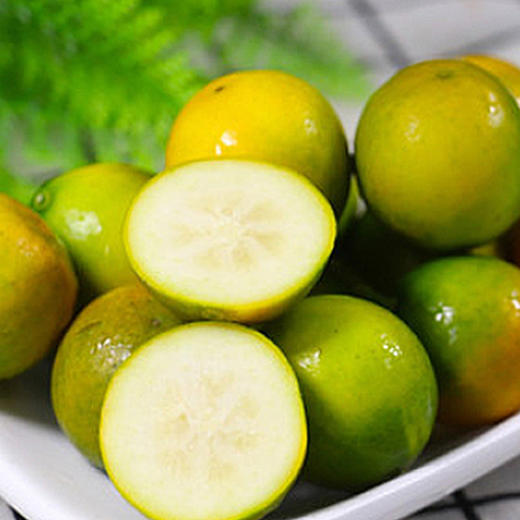 【分仓直发包邮】融安脆皮金桔5斤特大果 商品图2