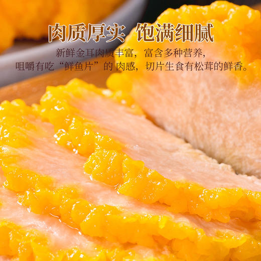 新鲜金耳菌 商品图4