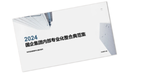 案例研习 | 国企集团内部专业化整合典范集-2024