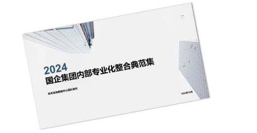 案例研习 | 国企集团内部专业化整合典范集-2024 商品图0