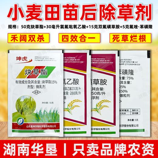 小麦苗后专用除草方案炔草酯除野燕麦看麦娘黑麦草专用除草剂正品 商品图2