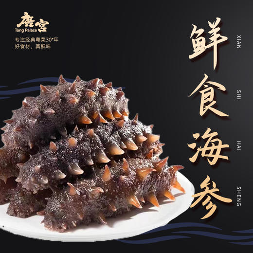 海参 500g（8条装） 商品图0