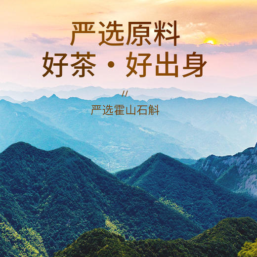 【正宗同仁堂品牌】北京同仁堂 总统牌 霍山石斛30克 胶质浓郁 回味悠长 SY 商品图2