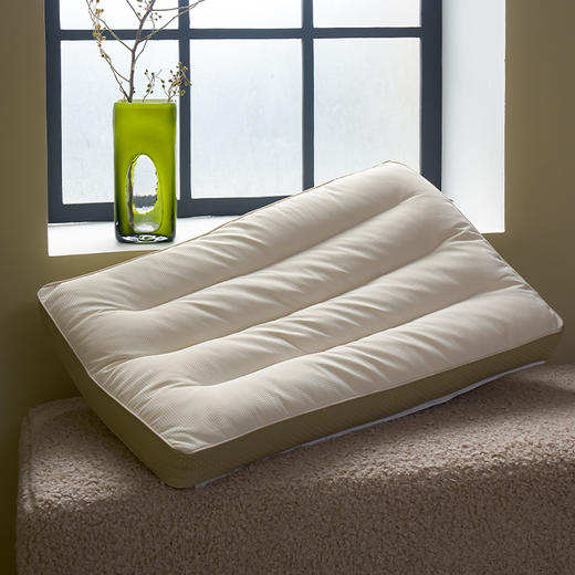 二合一深睡眠护颈荞麦枕头 全荞麦明目枕芯 商品图3