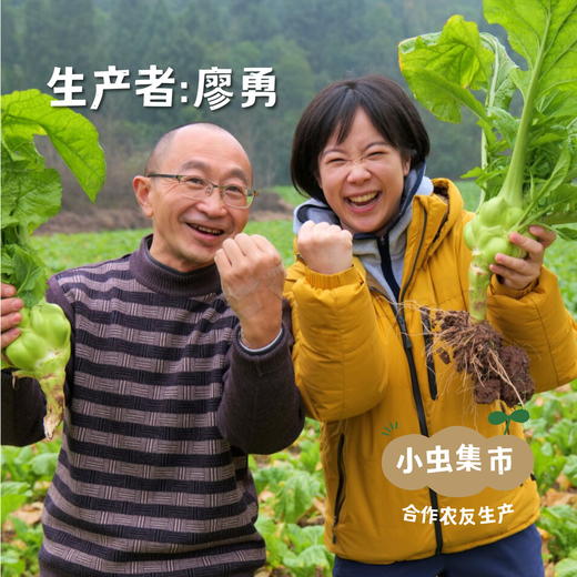 生态红花粉藕 5斤 | 合作农友生产，产自四川遂宁，生产者：廖勇 *【公平贸易农人定价】 商品图6