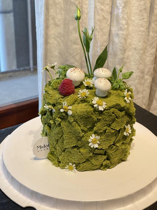 绿野仙踪·森林苔藓蛋糕 | Midori 商品图1