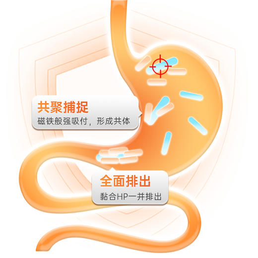 荷塔威-幽轻优益生菌麦卢卡蜂蜜压片糖果90g 商品图4