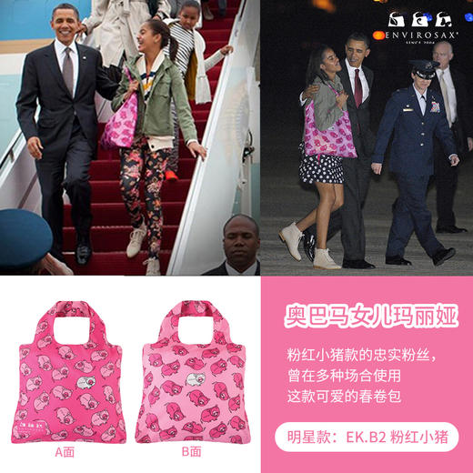 中号（45*42cm）澳大利亚🇦🇺ENVIROSAX春卷包全系列来袭！ 商品图1