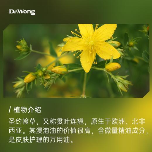 「圣约翰草」浸泡油 商品图1