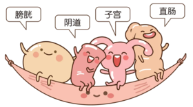  盆底健康：女性“内在力量”的守护神 