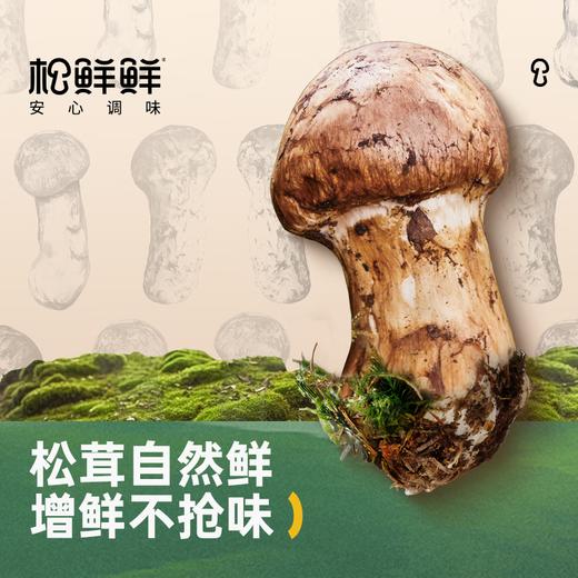 【直发】松鲜鲜松茸黄豆酱210g*3 商品图2