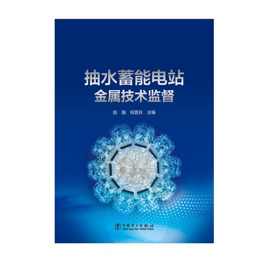 抽水蓄能电站金属技术监督 商品图1