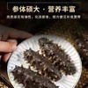 海参 500g（8条装） 商品缩略图2