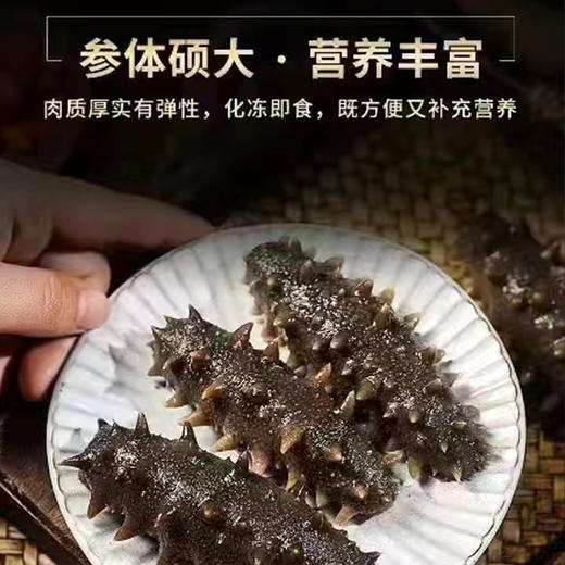 海参 500g（8条装） 商品图2
