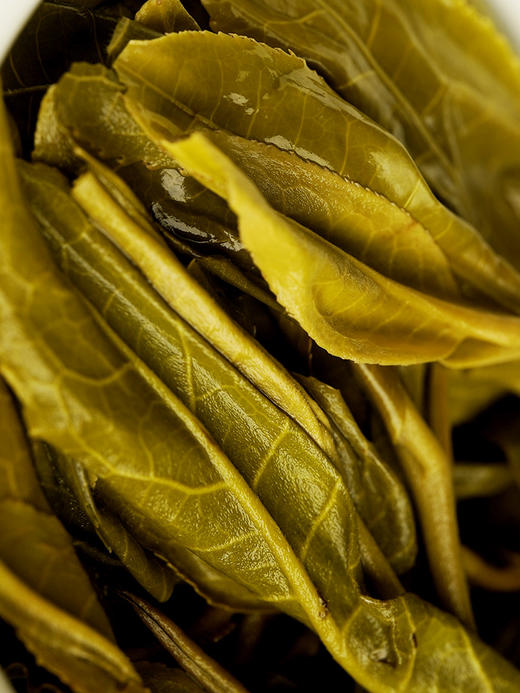 【大黑山】2024年头春头采倚邦新贵云南易武普洱茶生茶357克/饼 5饼/提 拍5发6 商品图4