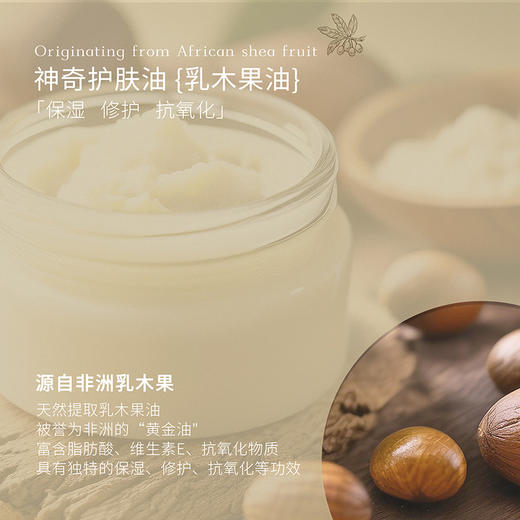 INGRAM'S 英格莱恩身体乳（乳木果保湿/经典水润） 商品图9