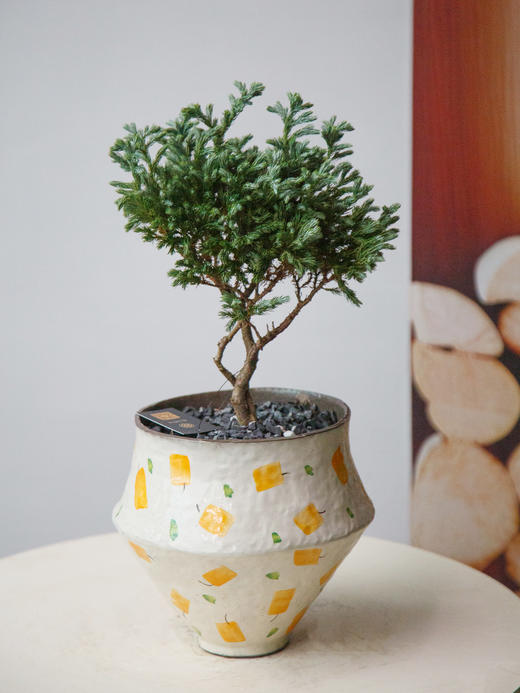 蓝色波尔瓦 商品图0