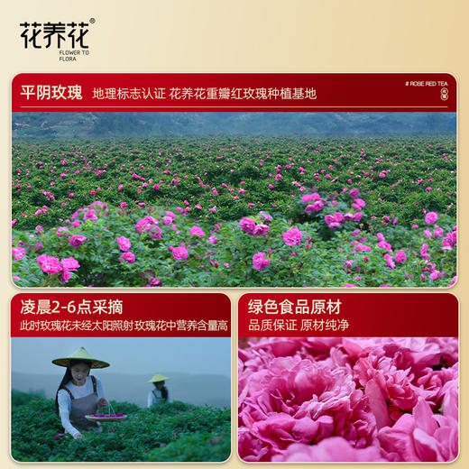 【琥珀凝香】玫瑰祁门红茶礼盒150g 商品图4