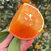 【分仓直发包邮】湖北九月红果冻橙5斤大果 商品缩略图1
