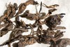 彩农茶｜老曼峨·首款老帕卡古树熟砖 商品缩略图5