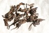 彩农茶｜老曼峨·首款老帕卡古树熟砖 商品缩略图8