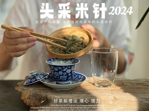 【2024春茶】姗姗来迟的2024头采米针，春白茶“鲜度”的代表之作，极清新、极空灵、也极诱人（1斤收藏装）！ 商品图3