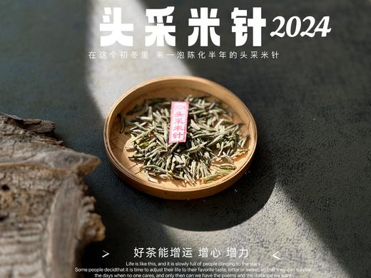 【2024春茶】姗姗来迟的2024头采米针，春白茶“鲜度”的代表之作，极清新、极空灵、也极诱人（1斤收藏装）！ 商品图0