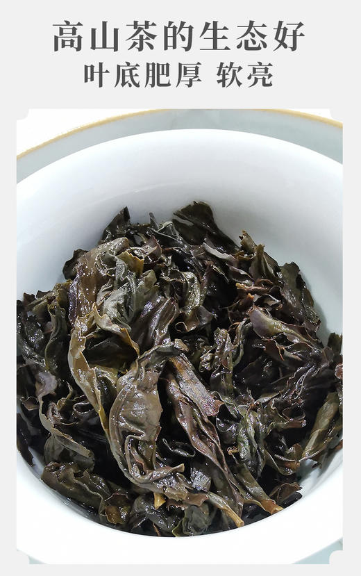 武夷山花香大红袍 荔枝木碳焙 6泡约50克 商品图5