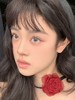 【月抛中直径】PFGIRLCON 月抛-童话滤镜-14.2mm-【月抛 度数0-800度 含525/575】 商品缩略图5