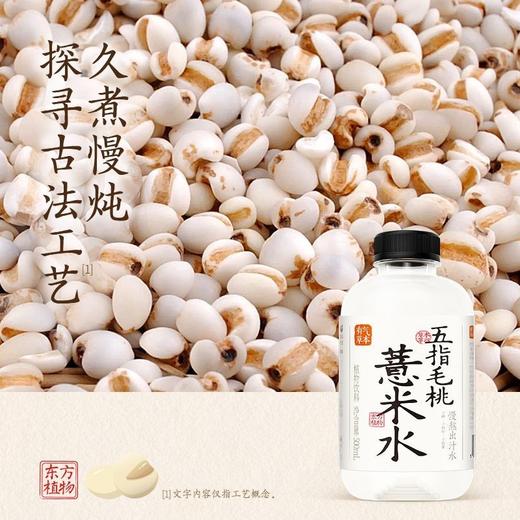 果子熟了500ml*15瓶五指毛桃薏米水 商品图0