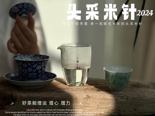 【2024春茶】姗姗来迟的2024头采米针，春白茶“鲜度”的代表之作，极清新、极空灵、也极诱人（1斤收藏装）！ 商品图7