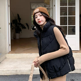 秋冬韩版时髦百搭宽松马甲女新款马甲女短款立领时尚洋气坎肩外套