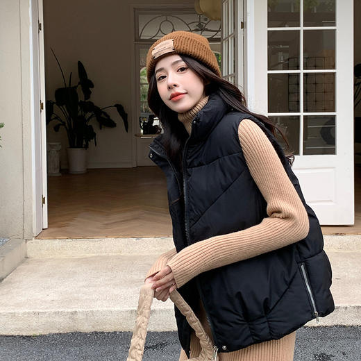 秋冬韩版时髦百搭宽松马甲女新款马甲女短款立领时尚洋气坎肩外套 商品图0