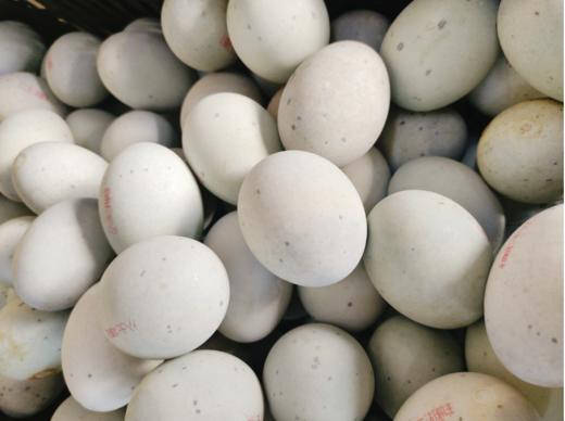 松花蛋10个 商品图0